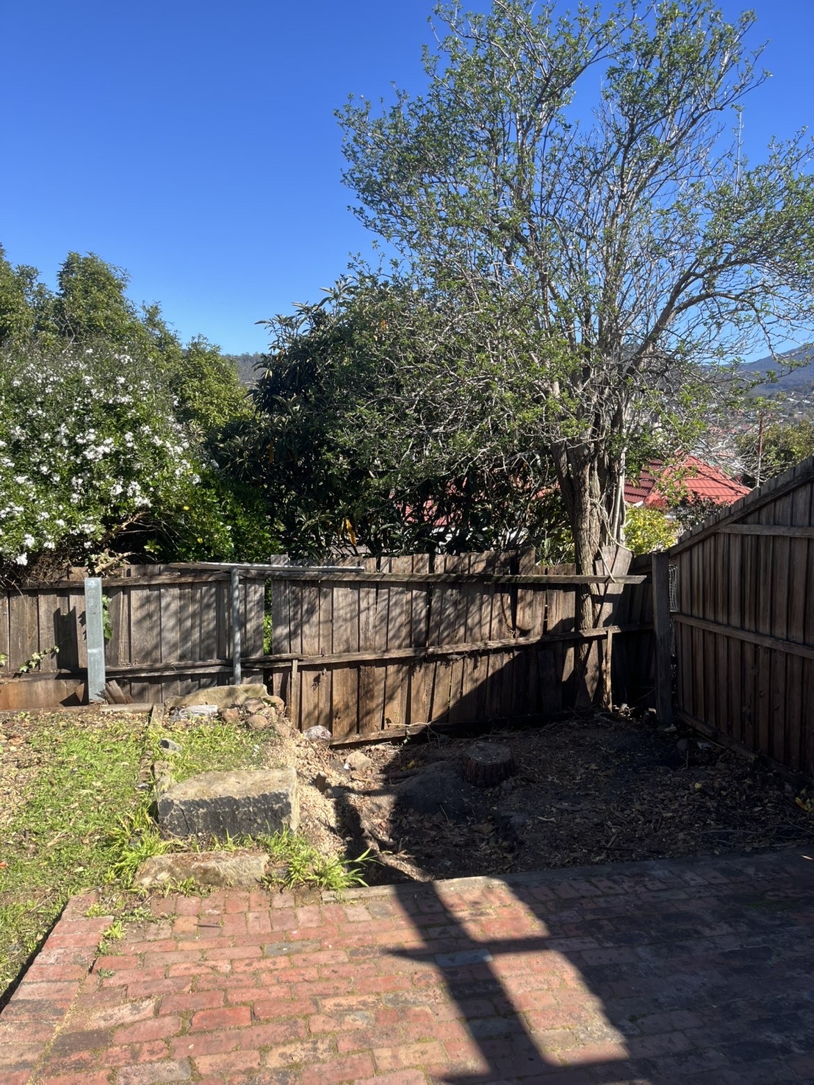 A Hobart backyard cleared after Southern Rubbish Removal dismantled and removed an old shed